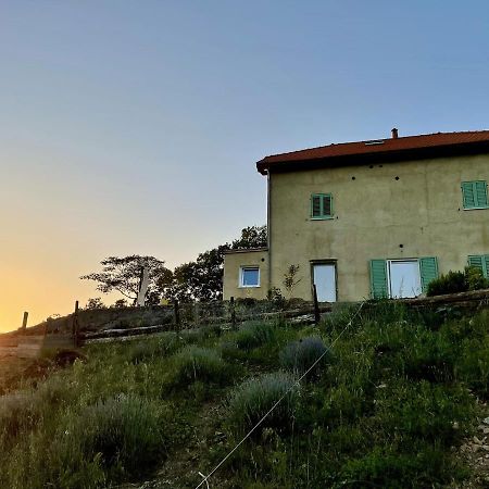 Agriturismo Cascina Cornelli サッセッロ エクステリア 写真